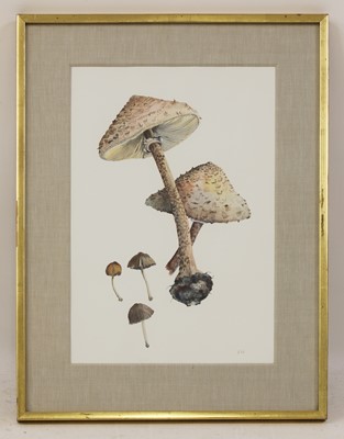 Lot 72 - Joan Warburton (1920-1996)