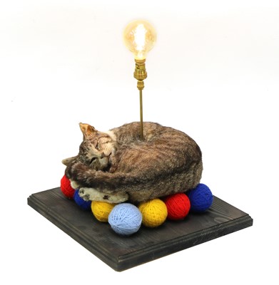 Lot 45 - CAT LAMP
