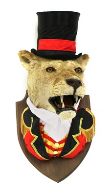 Lot 89 - THE RINGMASTER'S LION