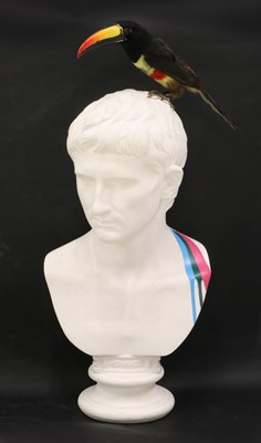 Lot 130 - CAESAR AND TOUCAN