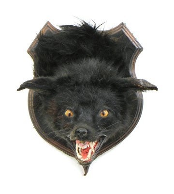 Lot 60 - THE BLACK BEAST