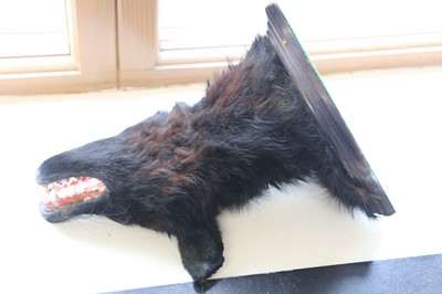 Lot 60 - THE BLACK BEAST