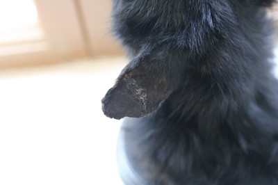 Lot 60 - THE BLACK BEAST