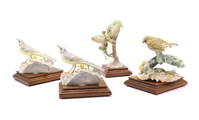 Lot 265 - A pair of Grey Wagtail Motacilla Melanope and Celandine models