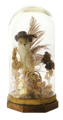 Lot 72 - THE BOTANIST