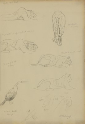 Lot 311 - Raymond John Vandenbergh  (1889-1960)
