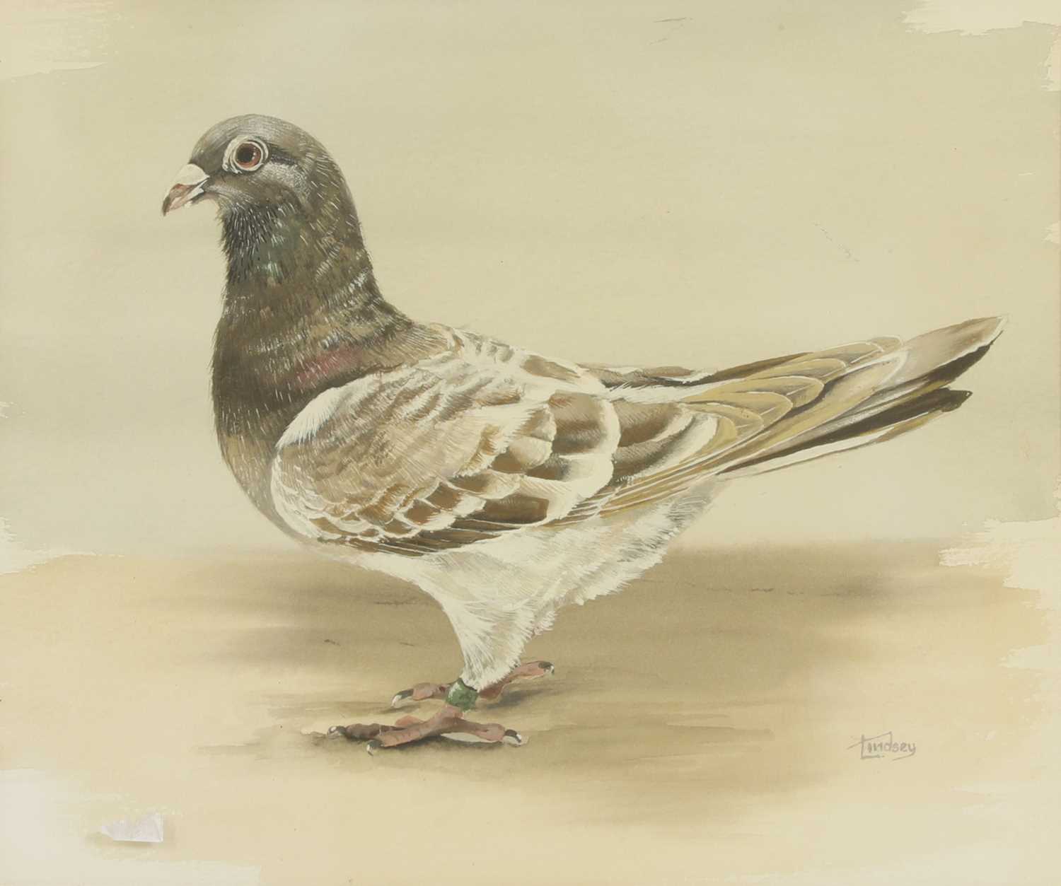 Lot 227 - Lindsey (20th century)