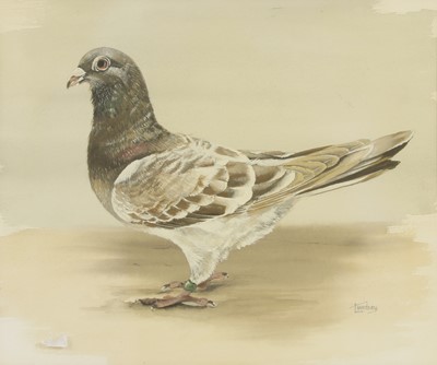 Lot 227 - Lindsey (20th century)
