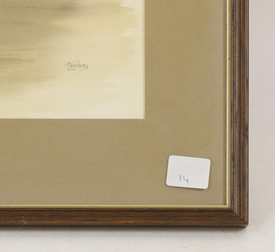 Lot 227 - Lindsey (20th century)