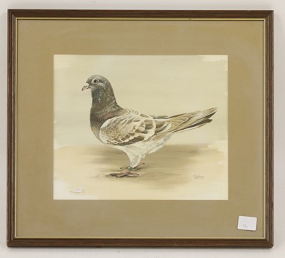 Lot 227 - Lindsey (20th century)