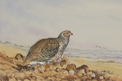 Lot 202 - Ian Bowles (1947-2018)
