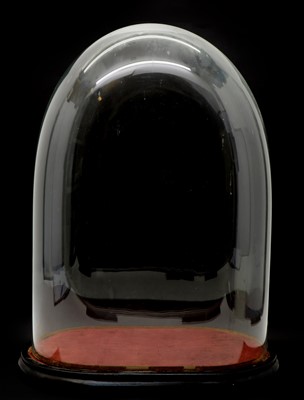 Lot 261 - A Victorian glass dome