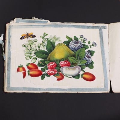 Lot 123 - A Chinese pith paper painting album