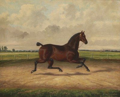 Lot 15 - Albert Clark Snr (1821-1909) and Albert James Clark (fl.1890-1943)
