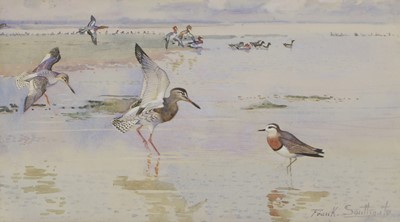 Lot 244 - Frank Southgate (1872-1916)