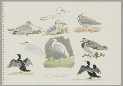 Lot 240 - Robert Gillmor (b.1936)