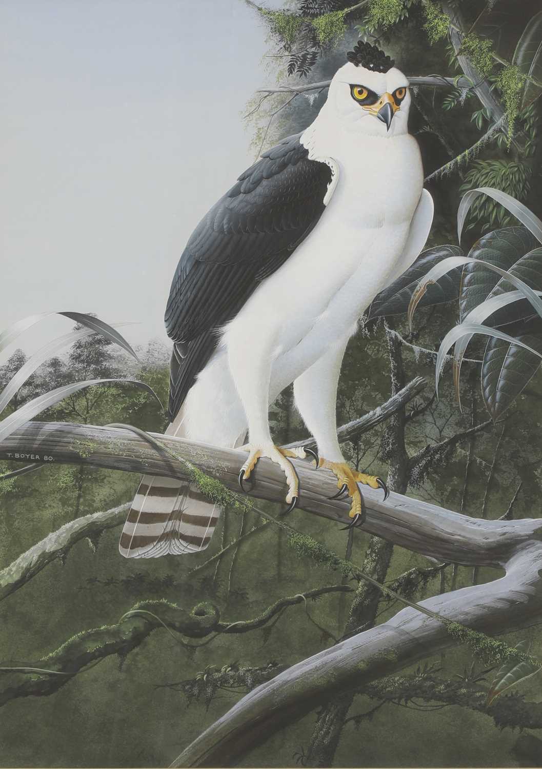 Lot 214 - Trevor Boyer (b.1948)