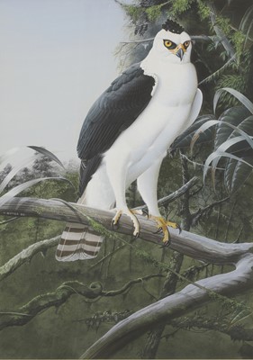 Lot 214 - Trevor Boyer (b.1948)