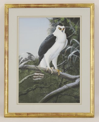 Lot 214 - Trevor Boyer (b.1948)