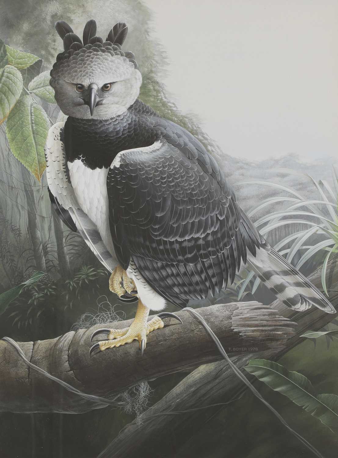 Lot 216 - Trevor Boyer (b.1948)