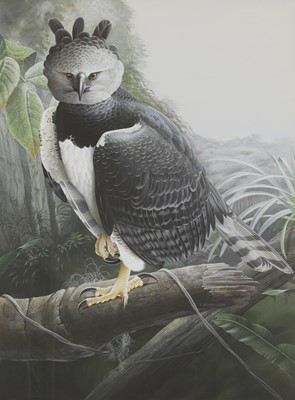 Lot 216 - Trevor Boyer (b.1948)