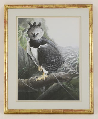 Lot 216 - Trevor Boyer (b.1948)