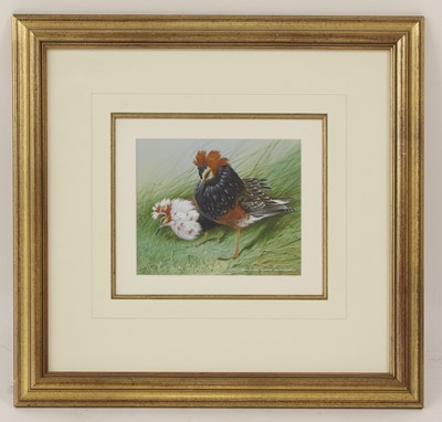Lot 241 - David Ord Kerr (b.1952)