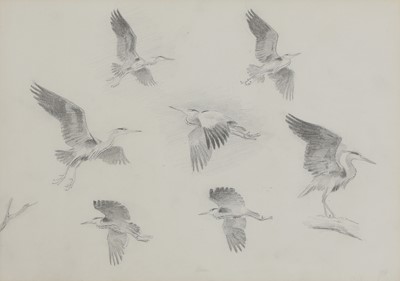 Lot 253 - John Cyril Harrison (1898-1985)