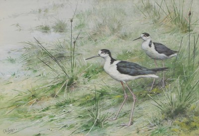 Lot 245 - George Edward Lodge (1860-1954)