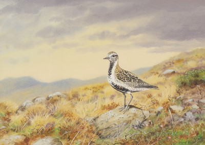 Lot 243 - Richard Robjent (b.1937)