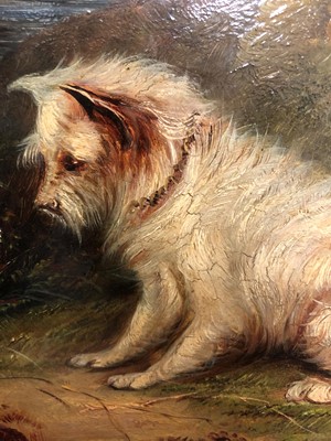 Lot 168 - George Armfield (1808-1893)
