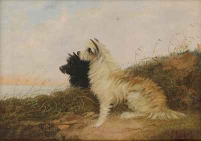 Lot 167 - Edward Armfield (1817-1896)