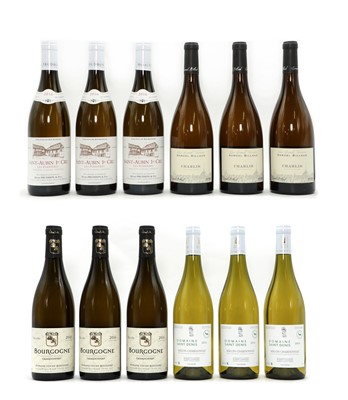 Lot 36 - Introduction to White Burgundy Case, 2016 (12)