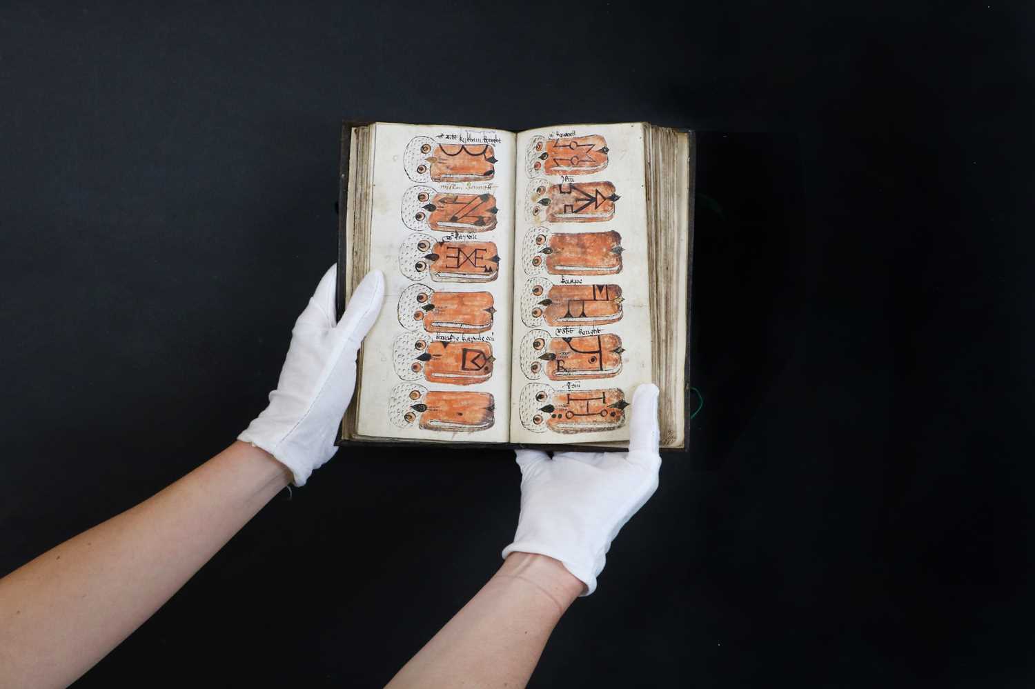 Lot 311 - SWAN MARK REGISTERS OF OWNERS (Two volumes)