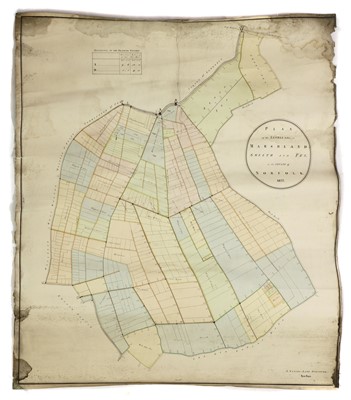 Lot 322 - MAPS/Marshland