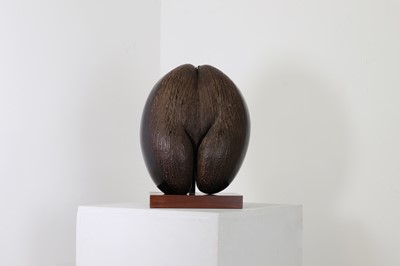 Lot 189 - A coco de mer shell
