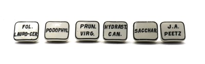 Lot 174 - A collection of American ceramic pharmacist bottle labels