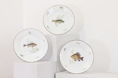 Lot 322 - A set of sixteen Richard Ginori fish pattern plates
