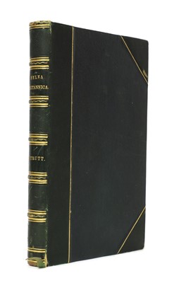 Lot 140 - STRUTT, J G: Sylva Britannica