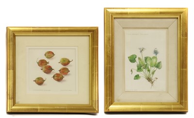 Lot 394 - Charlotte Gere (b.1937)