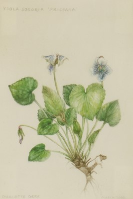 Lot 394 - Charlotte Gere (b.1937)