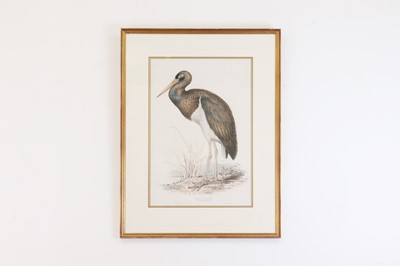 Lot 9 - Edward Lear (1812-1888)