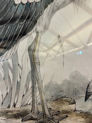 Lot 9 - Edward Lear (1812-1888)