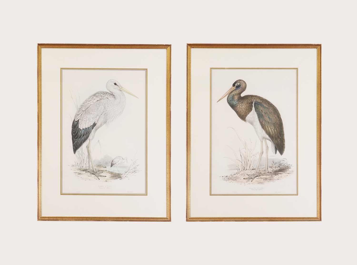 Lot 9 - Edward Lear (1812-1888)