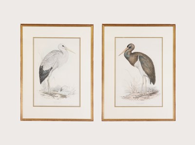 Lot 9 - Edward Lear (1812-1888)