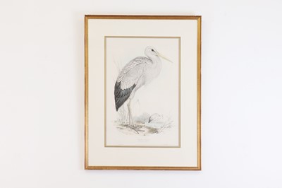 Lot 9 - Edward Lear (1812-1888)
