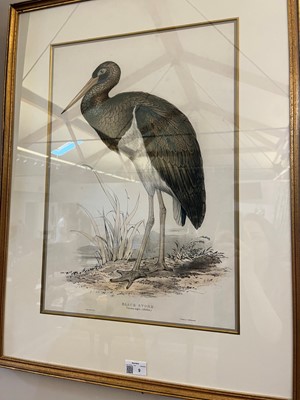 Lot 9 - Edward Lear (1812-1888)
