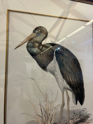 Lot 9 - Edward Lear (1812-1888)