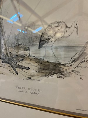 Lot 9 - Edward Lear (1812-1888)