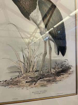 Lot 9 - Edward Lear (1812-1888)